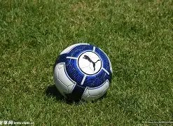 年厦门市青,少年足球联,赛女子丙组,奇异果体育平台,奇异果体育官方网站,奇异果体育登录入口,奇异果体育app下载