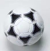 中国运动员,在亚洲杯与,冬奥会中展,奇异果体育平台,奇异果体育官方网站,奇异果体育登录入口,奇异果体育app下载