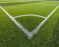 奇异果体育,资讯,奇异果体育平台,奇异果体育平台,奇异果体育官方网站,奇异果体育登录入口,奇异果体育app下载