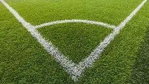 奇异果体育 资讯 132559 olq