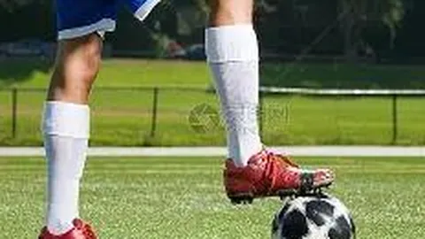 奇异果体育 产品 134033 guo