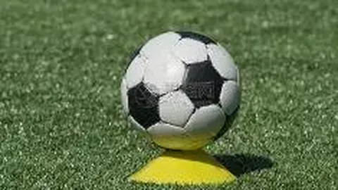 奇异果体育 产品 131823 iwa