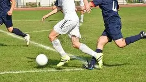 奇异果体育 资讯 105313 w28